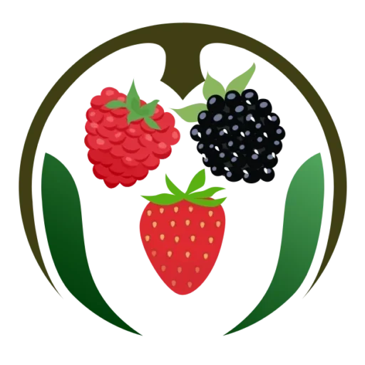 Fresh berry Logo