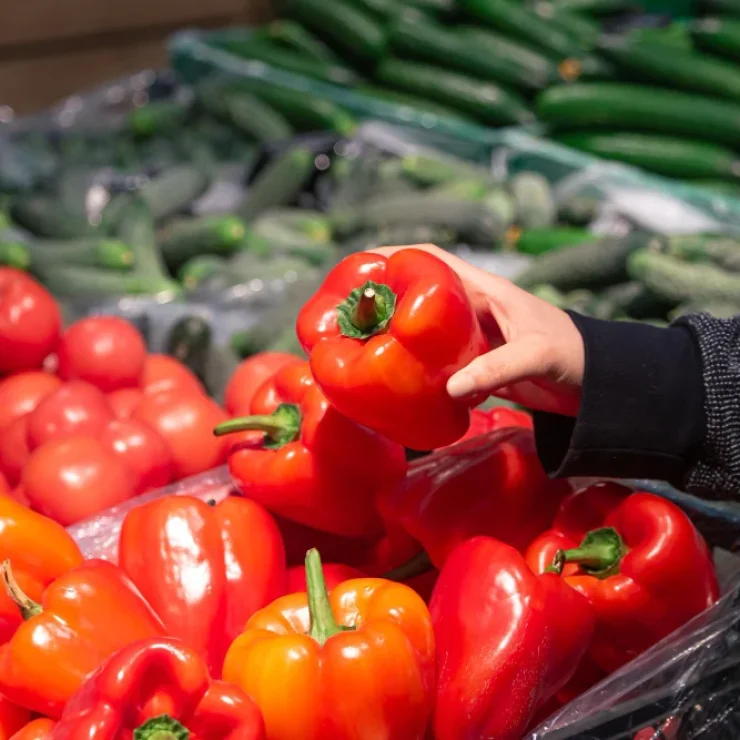 service-fresh-vegetables-supply
